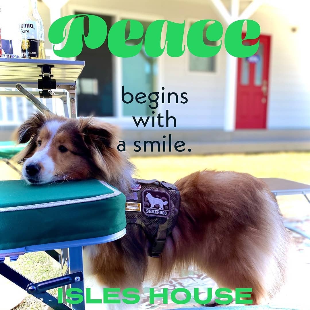 3連休最終日、今日は家のこと何しましょう!
#犬と暮らす
#dogperson
#アイルズハウス施工例