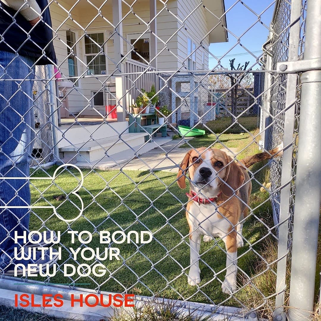 ワンちゃん・ネコちゃんがのびのび暮らせる家。アイルズハウスはこれからもそんな家を作って行きます。
#アイルズハウス施工例
#犬と暮らす
#猫と暮らす
#dogperson
#catperson