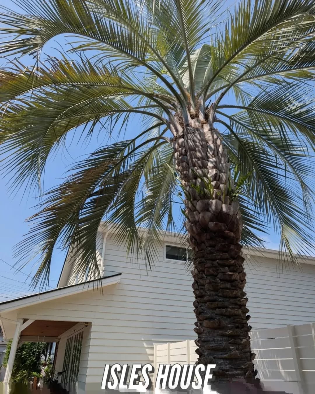 毎日ココスヤシを見ながら仕事に出かけるなんて素敵です☆